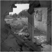 agfa-11-03-rf.jpg