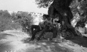 img0335.jpg