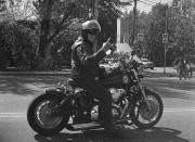 img03511.jpg