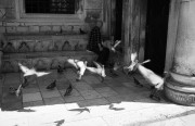 img0823.jpg img0823.jpg