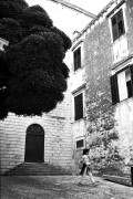 img1291.jpg