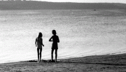 img2909.gif img2909.gif