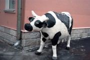 img417web.jpg