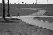 img431.jpg