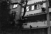 img7891.jpg