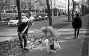 img8571.JPG