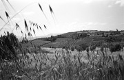 it_m6_0061.jpg