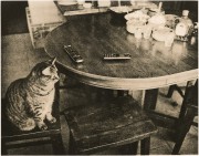 m4_2Summarit35_HP5_400_HC110B_AristaPremuimLiquidABLithDeveloper_AgfaBroviraFB2_8x10_Jan2016574.JPG