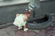 img06211.jpg