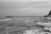 Scan-130129-0009_d.jpg