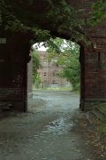img351d.jpg
