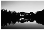 20062424.jpg