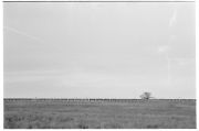 20063735.jpg
