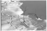 20064172.jpg