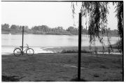 foto32_rodinal_1_50_13min_1877.jpg