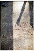 20062164.jpg