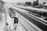 apx400023.jpg