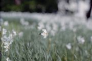 superia400RAW2-Kopie.jpg