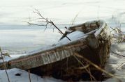 PLS0083-11.jpg