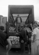 Scan-100802-0032.jpg
