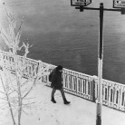 ������ ����������. �������