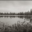 ������ ������ �����