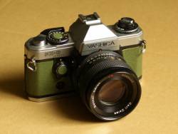 SG102595.JPG