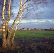 7DFCDEC7-0195-44D2-A189-D9A835CF0040.jpeg