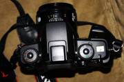 DSC00753.JPG