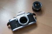 DSC01554.jpg