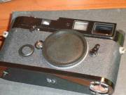 DSC01824.JPG