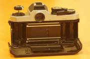 DSC02224.JPG
