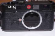 DSC0723911.jpg