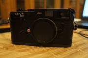DSC08680.JPG