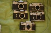 DSC09808.JPG