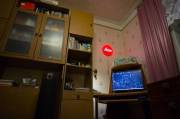 DSC8701_acr.jpg