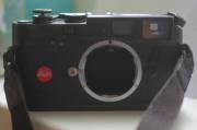 DSCF2490-1.jpg