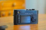 DSC_7779wb.JPG