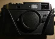 IMG_1695_1_.jpg