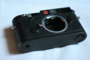 IMG_2205_resize.JPG