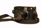 MG_7896.jpg