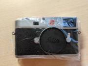 PXL_20220128_163603826.jpg