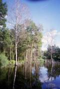 img0026_.jpg