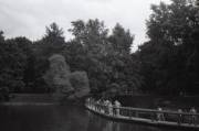 img136.jpg