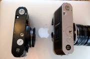 sized_DSCF6926.JPG