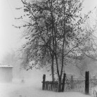 Декабрьская пурга